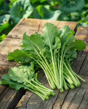 Turnip Greens Namenia Bladmoes 50g (Brassica rapa) – etårige grøntsagsfrø fra SeedsChoice