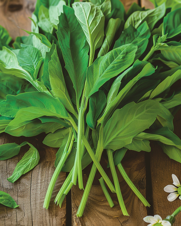 Feldsalat Large Leaf 25g frø (Valerianella locusta) – grønsag