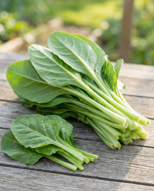 Mangold Leafy Green 50g (Beta vulgaris) – grøntsagsfrø fra SeedsChoice