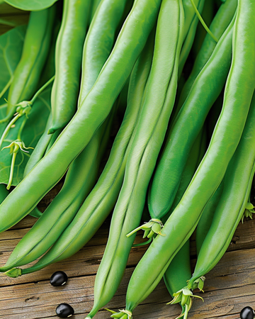 Climbing French Bean Cobra 100g seeds (Phaseolus vulgaris) – annual climber
