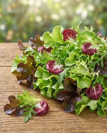 Fransk salat Mesclun frø – økologisk etårig blanding