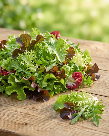 Fransk salat Mesclun – frø til økologisk etårig blanding fra SeedsChoice