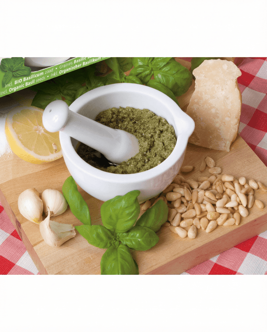 Basilikum Mortar Set (Ocimum basilicum) – økologiske urtefrø fra SeedsChoice