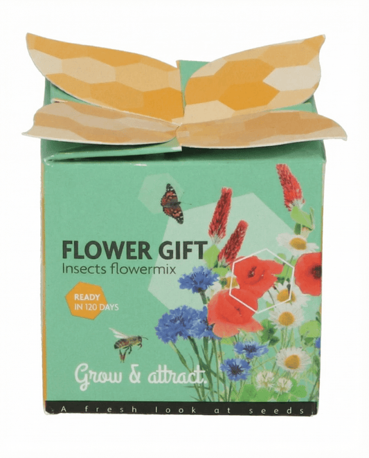 Insect Mix Terracotta Pot Gift Set – grow kit seeds from SeedsChoice
