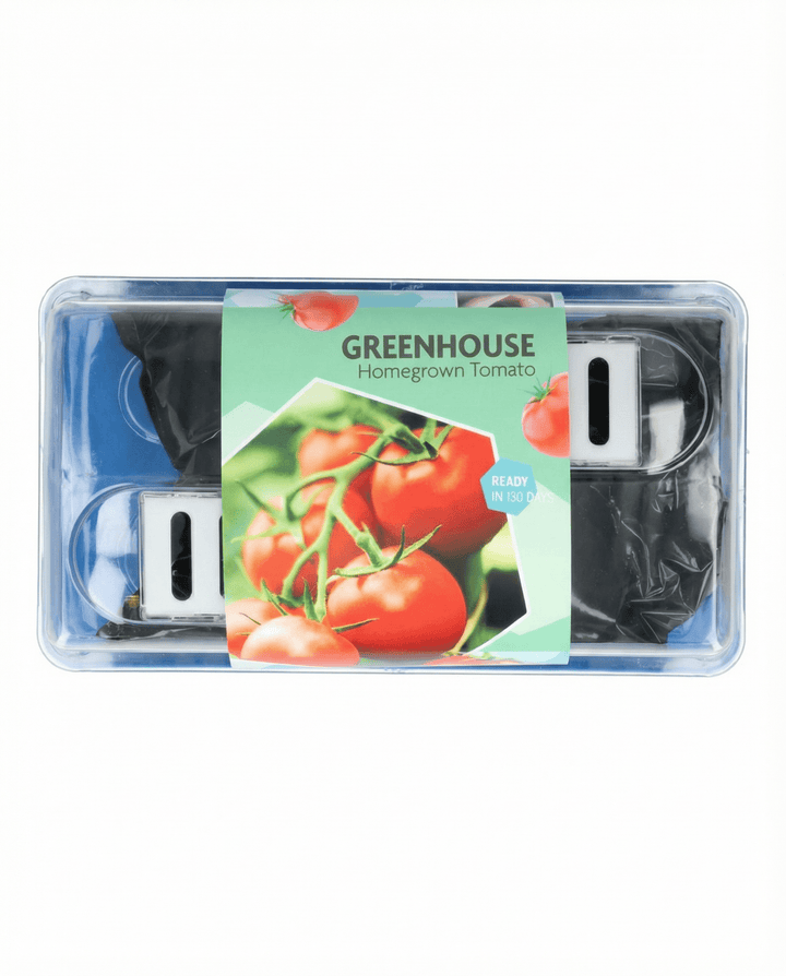 Tomat Maja Greenhouse Patio frø (Solanum lycopersicum) – dyrkningssæt