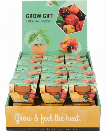 Habanero Pepper Terracotta Pot (Capsicum chinense) – grow kit seeds from SeedsChoice