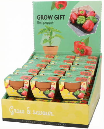 Peberpotte Terracotta Pot (Capsicum annuum) – dyrk-selv sæt med frø fra SeedsChoice