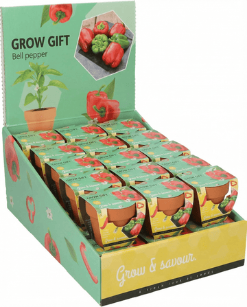 Peberpotte Terracotta Pot frø (Capsicum annuum) – dyrk-selv sæt