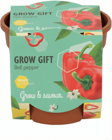 Peberpotte Terracotta Pot frø – dyrk-selv sæt fra SeedsChoice