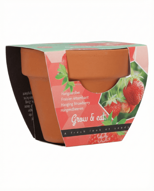 Hanging Strawberry (Fragaria × ananassa) – perennial seeds from SeedsChoice