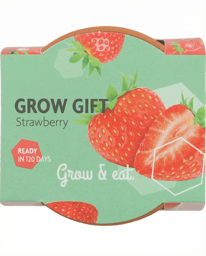Hanging Strawberry seeds (Fragaria × ananassa) – perennial