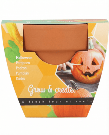 Halloween-græskarfrø (Cucurbita pepo) – dyrkningssæt
