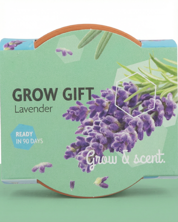 Lavendel frø – dyrkningssæt til flerårig fra SeedsChoice