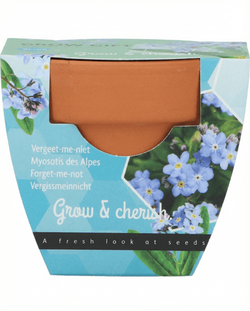 Forglemmigej frø (Myosotis alpestris) – dyrk-selv sæt