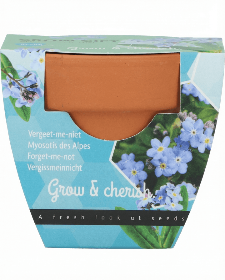 Forglemmigej frø (Myosotis alpestris) – dyrk-selv sæt
