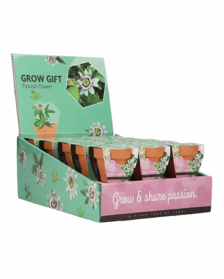 Passiflora Passion Gift Terracotta Pot 30 Pack seeds – grow kit