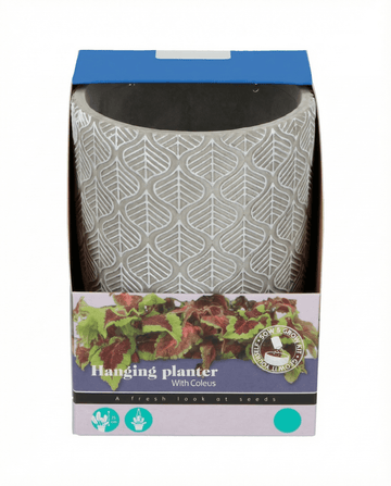 Hængende kurv frø (Coleus blumei) – dyrkningssæt