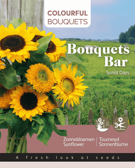 Solsikke 75 Cm Bouquet Mix (Helianthus annuus) – etårige blomsterfrø fra SeedsChoice