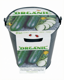 Økologiske agurkefrø Cucumis sativus sorten Marketmore