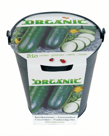 Agurkefrø Marketmore (Cucumis sativus) – økologisk grøntsag