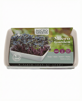 Daikon Radish Seeds Raphanus Sativus Microgreens Indoor Kit