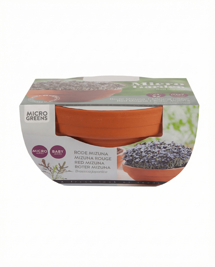 Red Mizuna mikrogrønt Terracotta grøntsager frø (Brassica japonica) – dyrkningssæt