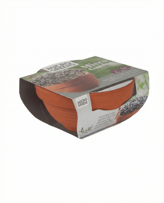 Red Mizuna mikrogrønt Terracotta grøntsager (Brassica japonica) – dyrkningssæt frø fra SeedsChoice