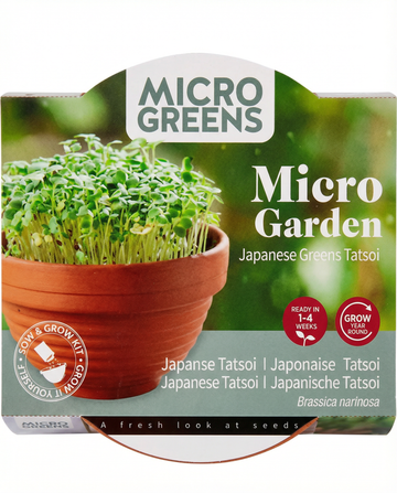 Brassica narinosa – Tatsoi Microgreens Terracotta fad dyrket fra frø