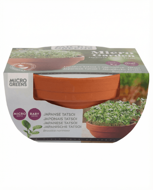 Tatsoi microgreens terracottaskål (Brassica narinosa) – dyrkningssæt med frø fra SeedsChoice