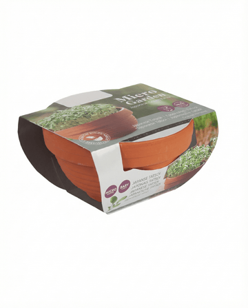 Tatsoi microgreens terracottaskål frø (Brassica narinosa) – dyrkningssæt