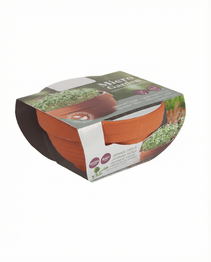 Tatsoi microgreens terracottaskål frø (Brassica narinosa) – dyrkningssæt