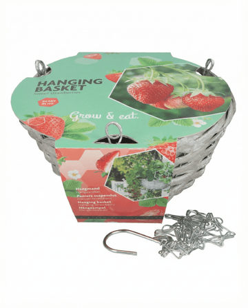 Hængende kurv jordbær Temptation (Fragaria × ananassa) – dyrkningssæt med frø fra SeedsChoice