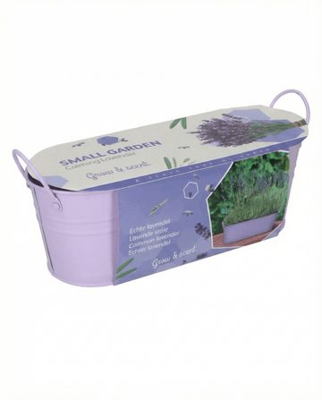 Lavendel (Lavandula angustifolia) – dyrkningssæt med frø til flerårig urt fra SeedsChoice