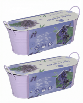 Lavendelfrø Lavandula Angustifolia flerårig urt sæt