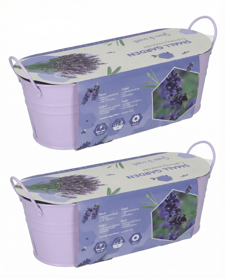 Lavendel frø (Lavandula angustifolia) – dyrkningssæt til flerårig