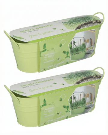 Ært Stardust mikrogrønt frø (Pisum sativum) – microgreens