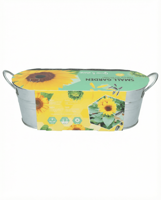 Dwarf Sunflower Low Growing (Helianthus annuus) – flower seeds from SeedsChoice