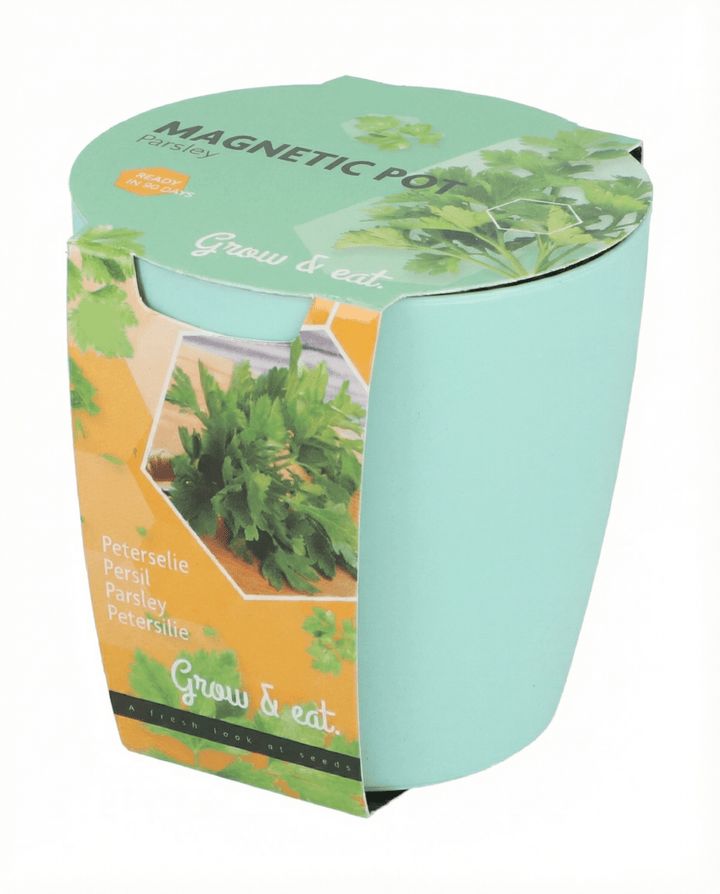Assortment Basil Chives Parsley seeds (Ocimum basilicum) – grow kit