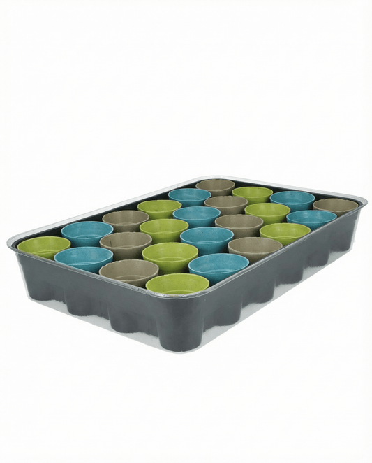 Advent Calendar Assorted 24 Varieties – grow kit seeds from SeedsChoice
