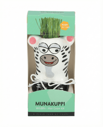 Lolium multiflorum – Grass Zebra dyrket fra frø