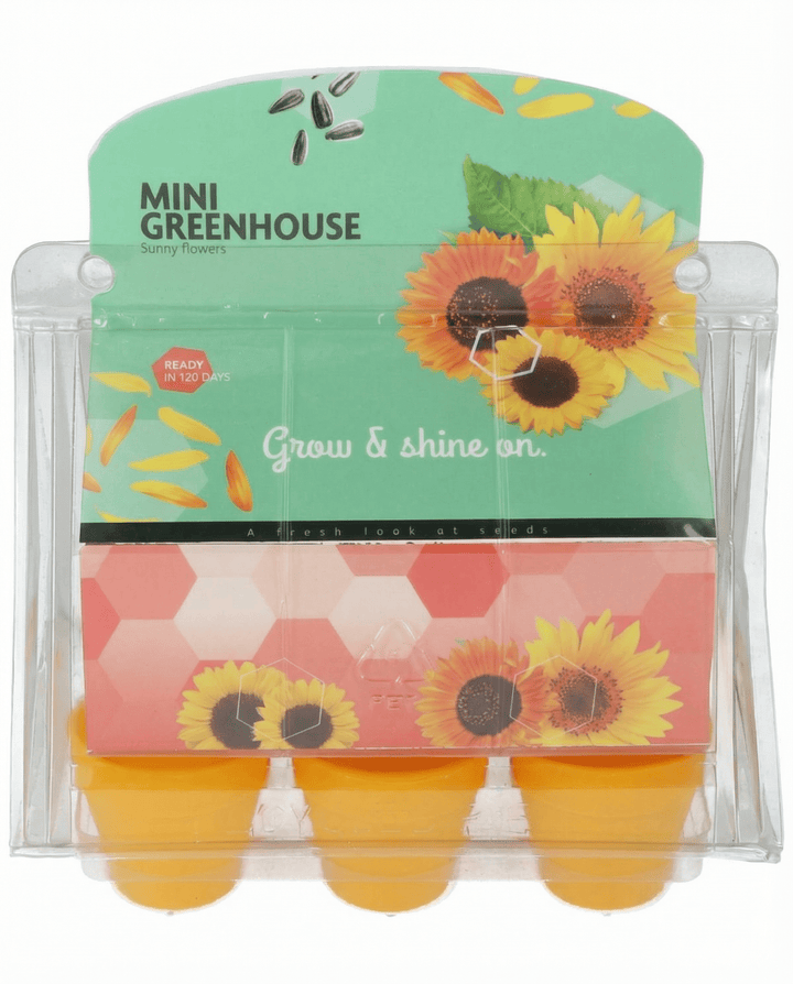 Solsikke Mini Greenhouse Pot frø (Helianthus annuus) – dyrkningssæt