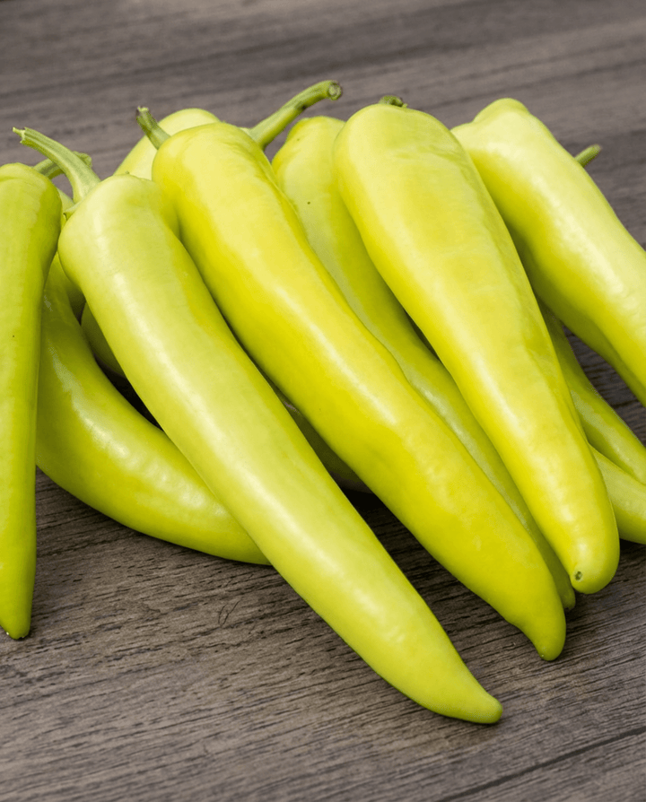 Ungarsk gul vokspeber-frø (Capsicum annuum) – enårig grøntsag