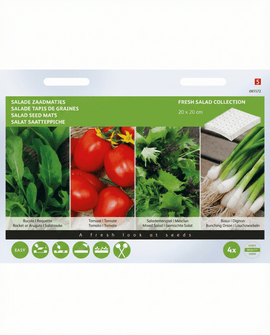 Salat frømåtter Eruca Sativa rucola 4-pak