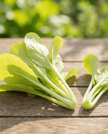 Turnip Greens Yellow seeds (Brassica pekinensis) – annual vegetable