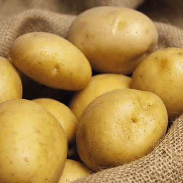 True Potato Soltastic F1 frø (Solanum tuberosum) – etårig grøntsag