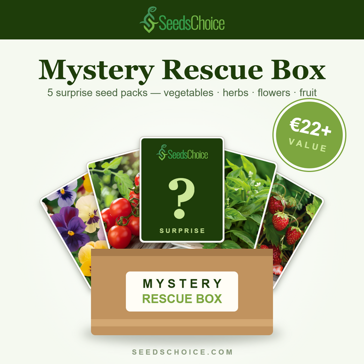 SeedsChoice Mystery Box — overraskelsesmix af frø til grøntsager, urter, blomster og frugt