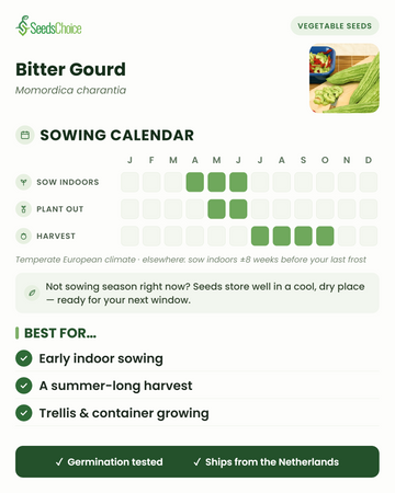 Såkalender for bitter agurk i et tempereret europæisk klima: sås indendørs april til juni, udplantes maj til juni, høstes juli til oktober; frøene holder sig godt til næste sæson