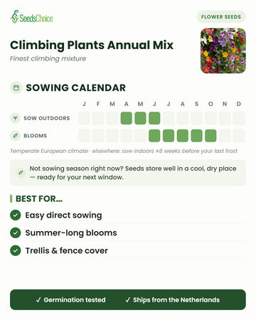 Såkalender for Climbing Plants Annual Mix i et tempereret europæisk klima: direktsås april til juni, blomstrer juni til oktober; frøene holder sig godt til næste sæson