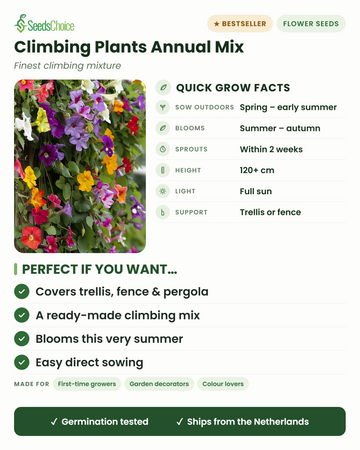 Klatreplanter enårig blanding – hurtige fakta: så direkte om foråret, blomstrer sommer til efterår, højde 120+ cm, fuld sol, espalier eller hegnsstøtte — en færdigsammensat blanding til dækning af espalier, hegn og pergola