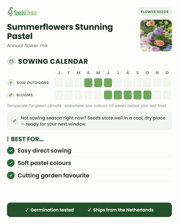 Såkalender for Summerflowers Stunning Pastel i et tempereret europæisk klima: så direkte april til juni, blomstrer juni til oktober; frøene kan opbevares til næste sæson